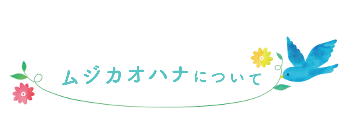 ムジカオハナについて